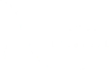 Amanda Lifestyle